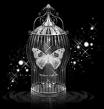 L'avatar di whitebutterfly