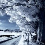 L'avatar di Natsuko93