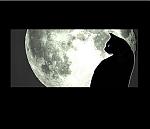 L'avatar di lunatick