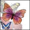 L'avatar di frillina