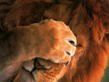 L'avatar di sololazio