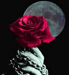L'avatar di DeadlyRose