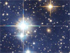 L'avatar di Bluestar