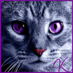 L'avatar di KylaiialyK
