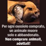 L'avatar di ValinaP.